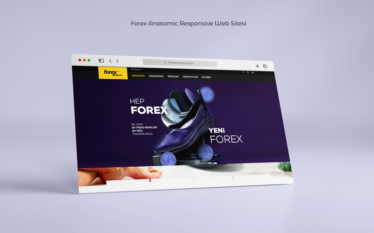 Forex Anatomic Responsive Web Sitesi